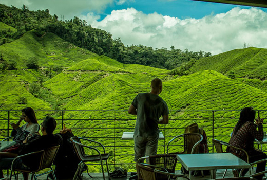 Best of Kuala Lumpur With Cameroon Highlands